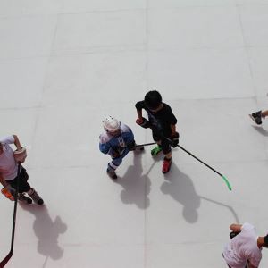Arena Hoki Sintetis